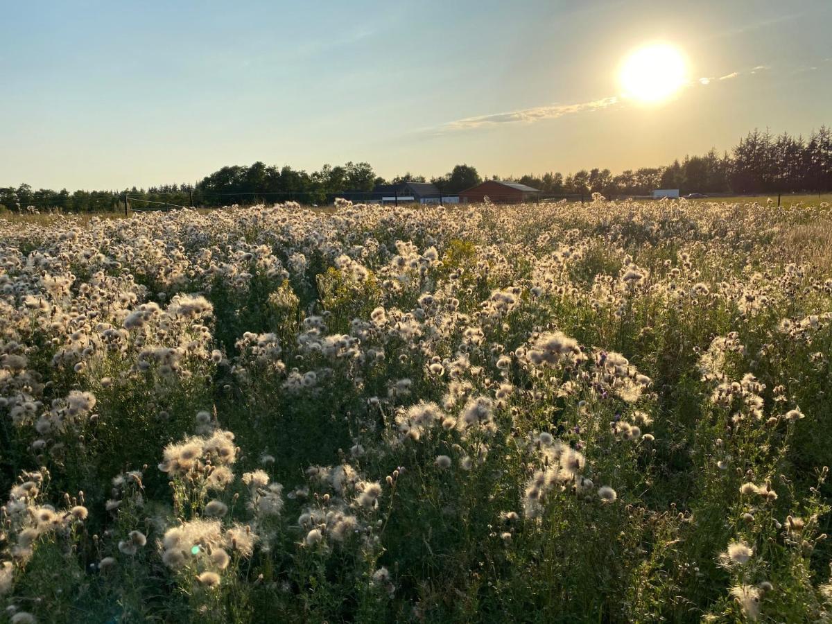 Billund-Bnb Aps住宿加早餐旅馆 外观 照片